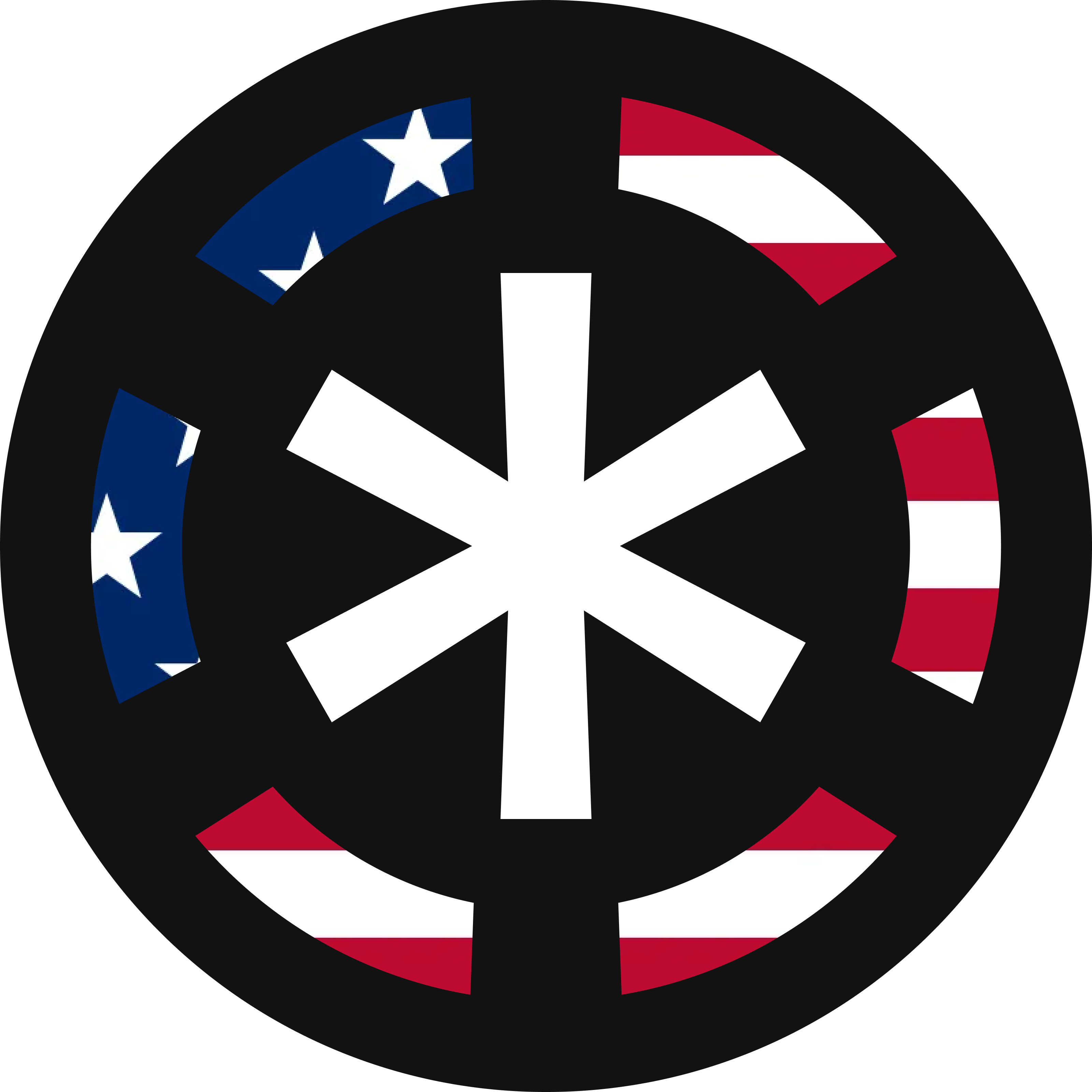 Rook Logo - America